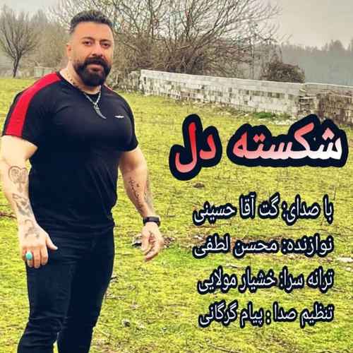 گت آقا حسینی بیمه زخمی ببر شی تک و تنهایی دا